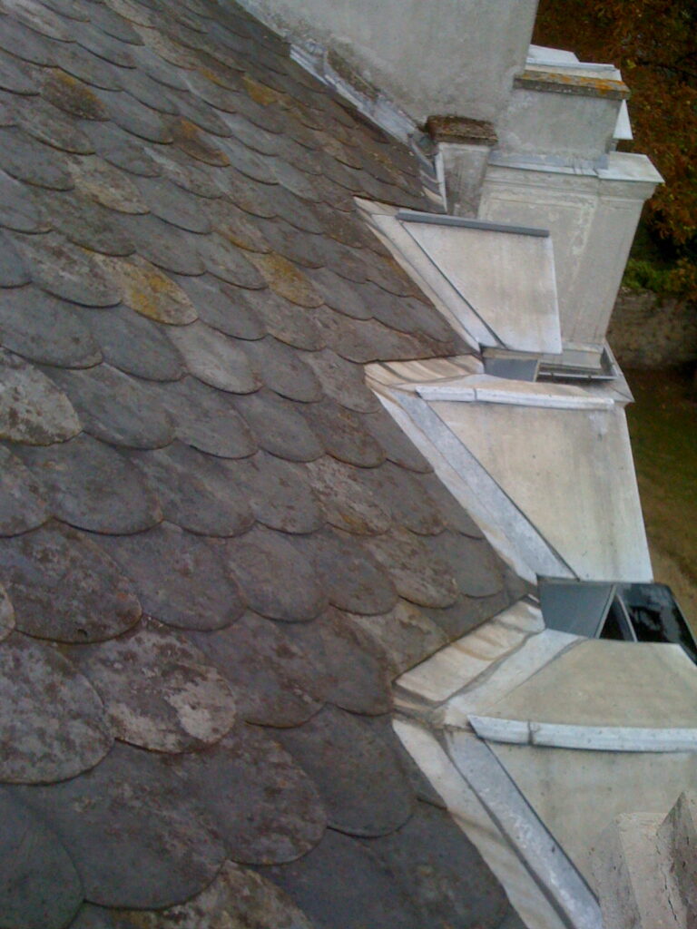 nettoyage toiture infecté